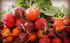 Beets are one of the many vegetables you need to add into your diet to help your liver and gallbladder problems.