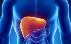 How can you promote healthy liver function in your body?