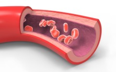 What should you know about cholesterol in the body?